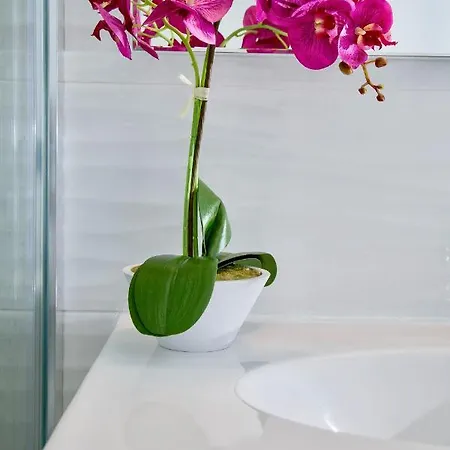 Luxury 12th Floor Beachfront Διαμέρισμα