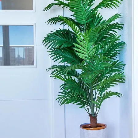 Luxury 12th Floor Beachfront