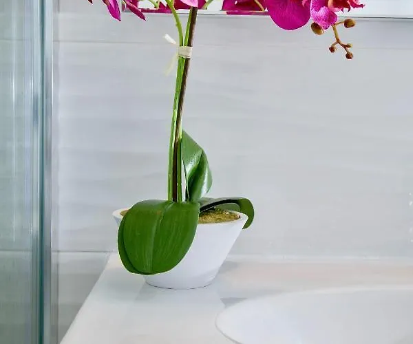 Luxury 12th Floor Beachfront Apartment